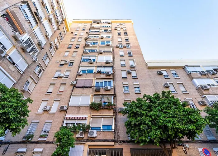 Conde Collection Santa Justa